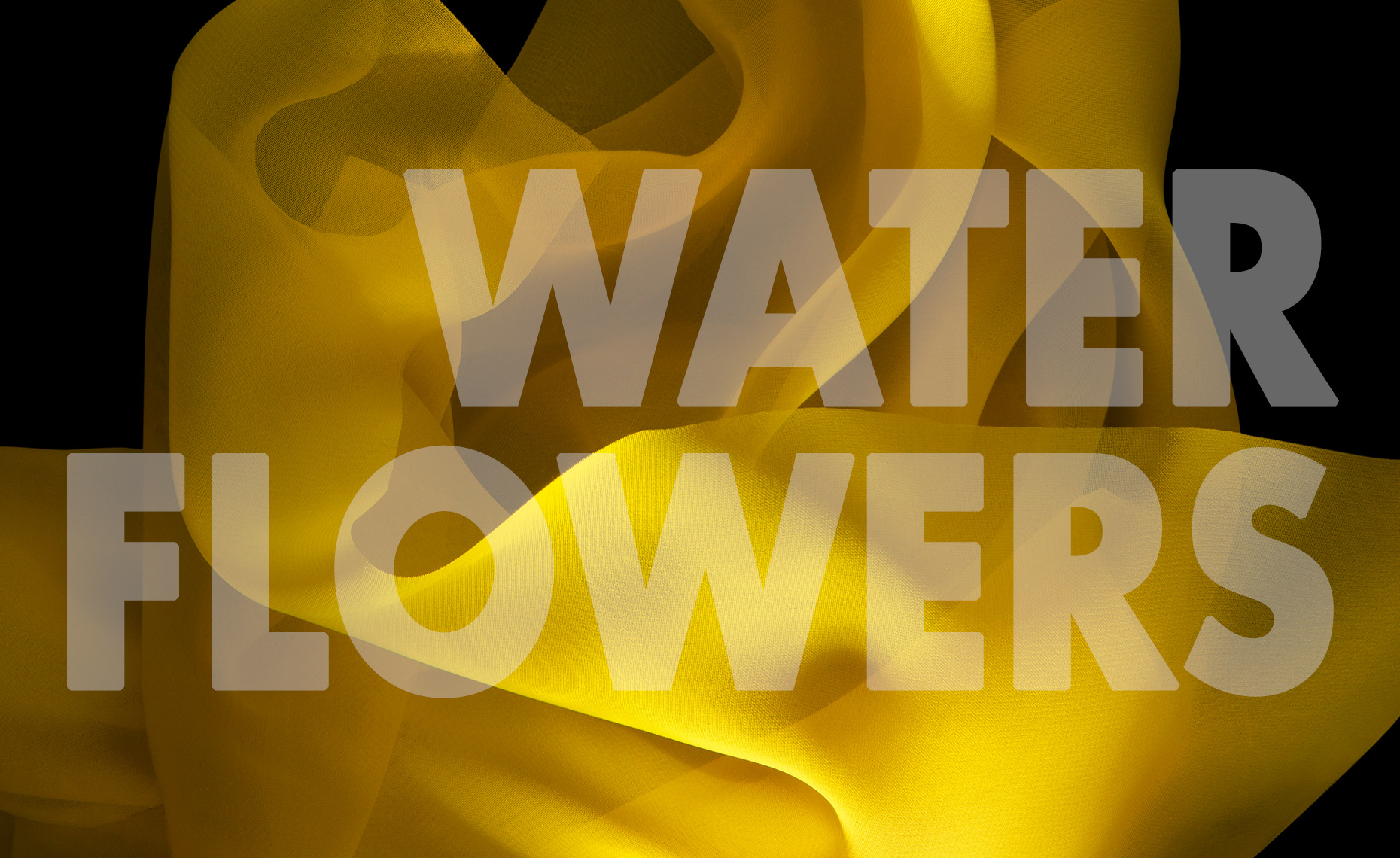 WaterFlowers_Copertina